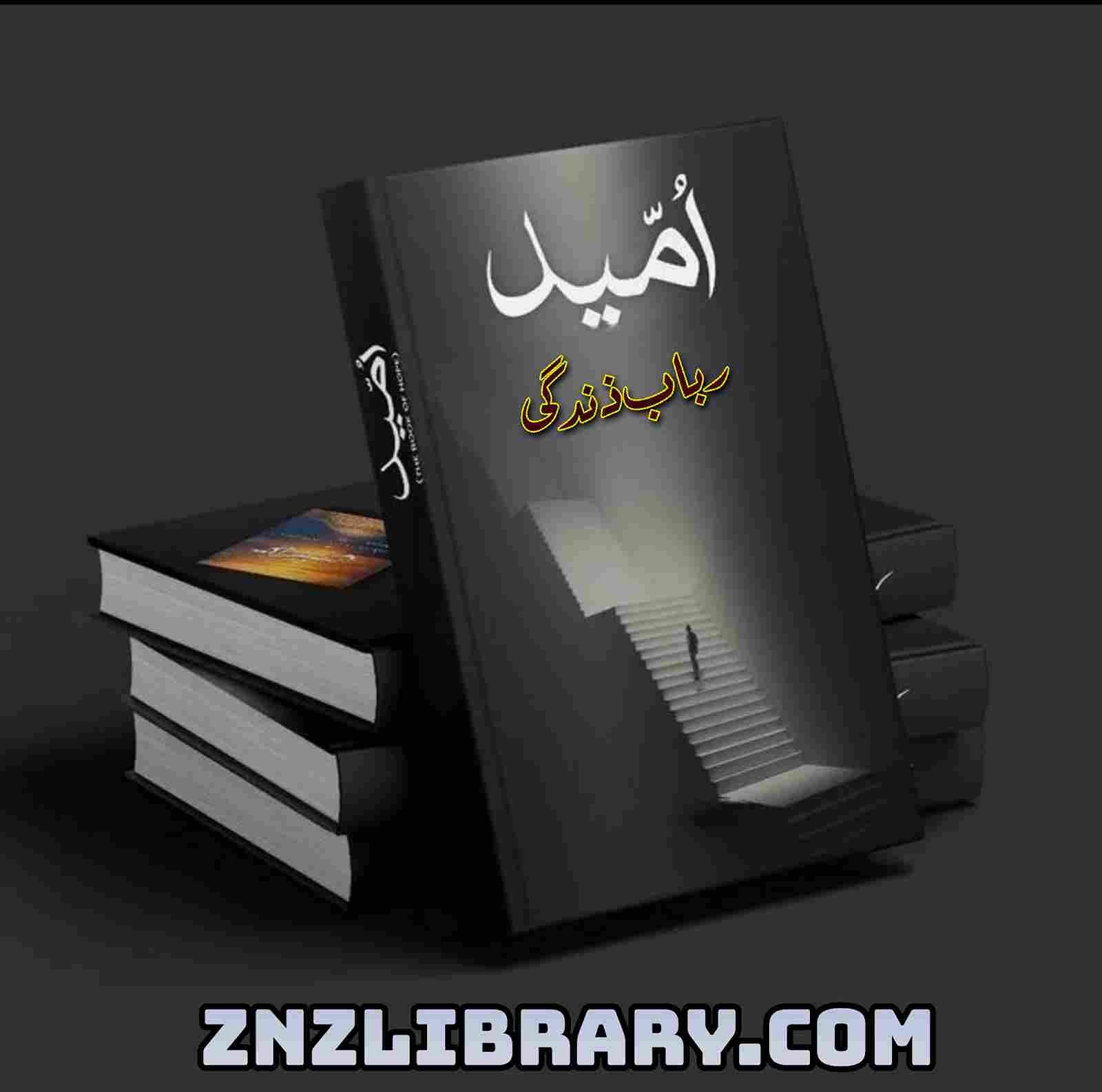 Umeed Novel By Rubab Zindagi Complete – ZNZ